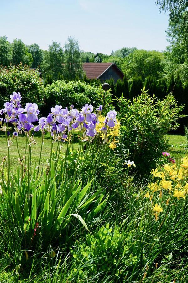 Ferienwohnung Auszeit Im Pfaffenwinkel - Wessobrunn Екстер'єр фото